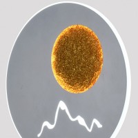 Накладной светильник Hiper Moon H833-3
