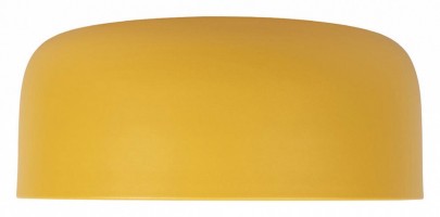 Накладной светильник Loft it Axel 10201/350 Yellow