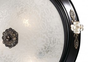 Накладной светильник Odeon Light Bone 2693/3C