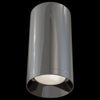Накладной светильник Maytoni Alfa C010CL-01GF