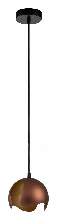 Подвесной светильник Indigo Severo 10004/1P Black