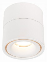 Светильник на штанге ST-Luce ST652 ST652.532.12