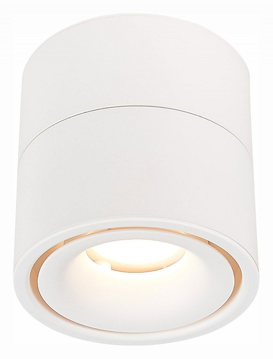 Светильник на штанге ST-Luce ST652 ST652.532.12