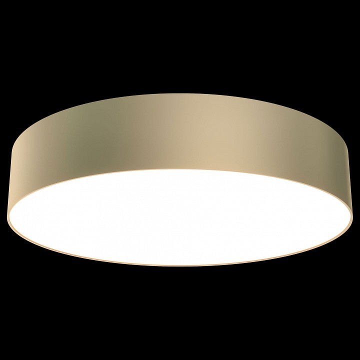 Накладной светильник Maytoni Zon C032CL-L43MG3K