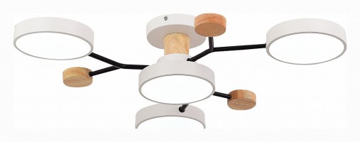 Потолочная люстра EVOLUCE Faema SLE6006-502-04