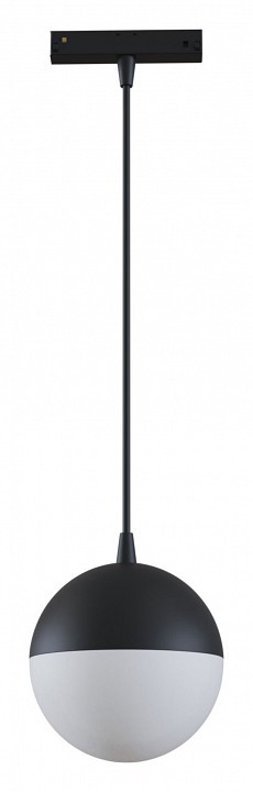 Подвесной светильник Maytoni Track lamps TR018-2-10W4K-B