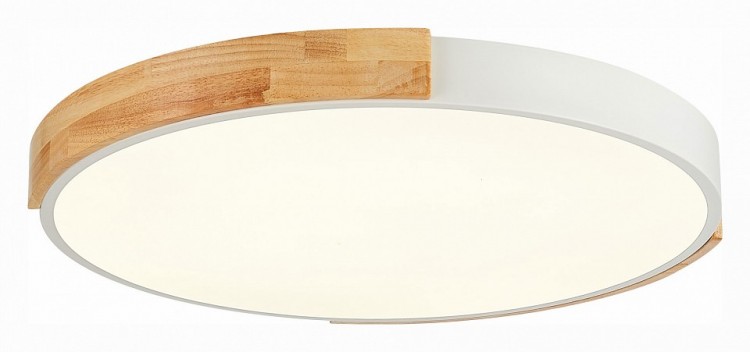 Накладной светильник EVOLUCE Delia SLE201352-01