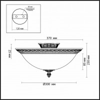 Накладной светильник Odeon Light Maipa 2587/3C