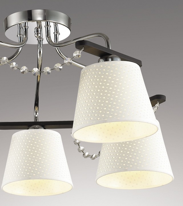 Потолочная люстра Odeon Light Salanso 2931/5C