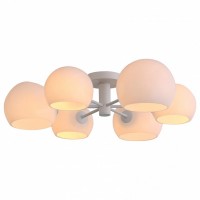 Люстра на штанге ST-Luce Calmare SL434.502.06