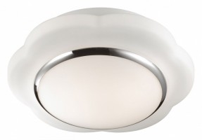 Накладной светильник Odeon Light Baha 2403/1C