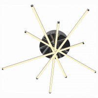 Потолочная люстра ST-Luce Fasci SL926.102.10