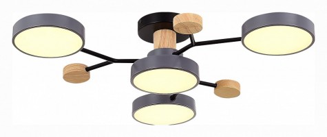 Потолочная люстра EVOLUCE Faema SLE6006-702-04
