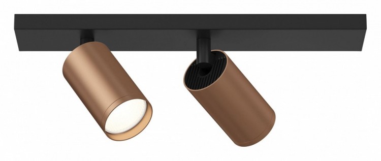 Спот Maytoni Focus S C051CL-02BC