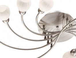 Потолочная люстра Odeon Light Akron 2469/10C
