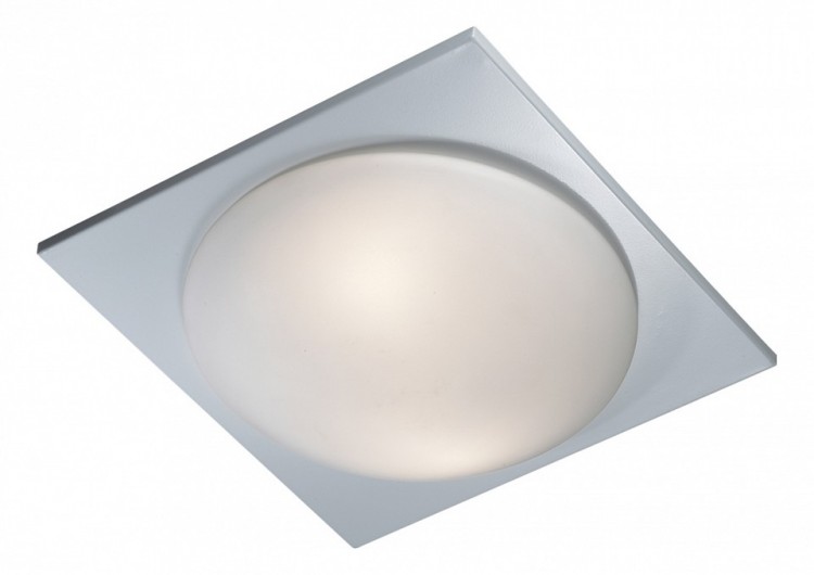 Накладной светильник Odeon Light Brido 2762/2C