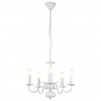 Подвесная люстра Arte Lamp Antwerp A1029LM-5WC