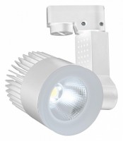 Светильник на штанге Escada 20030 20030TRA/02LED SWH