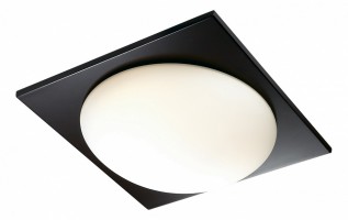 Накладной светильник Odeon Light Brido 2763/2C