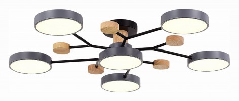 Потолочная люстра EVOLUCE Faema SLE6006-702-06