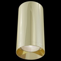 Накладной светильник Maytoni Alfa C010CL-01G