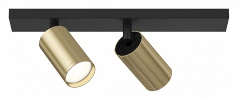 Спот Maytoni Focus S C051CL-02BG