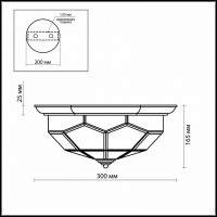 Накладной светильник Odeon Light Clerk 2271/2C