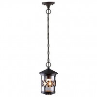 Подвесной светильник Arte Lamp Persia 1 A1455SO-1BK