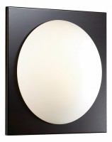 Накладной светильник Odeon Light Brido 2763/1C