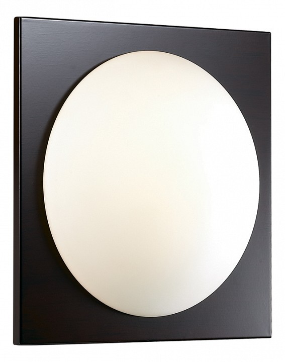 Накладной светильник Odeon Light Brido 2763/1C
