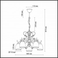 Подвесная люстра Odeon Light Mida 2242/5