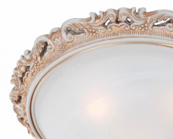 Накладной светильник Favourite Plafond 1444-3C