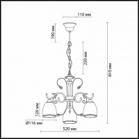 Подвесная люстра Odeon Light Mida 2242/3