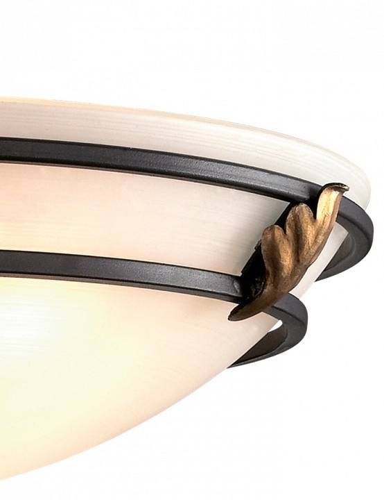 Светильник на штанге Odeon Light Osorno 2664/3C
