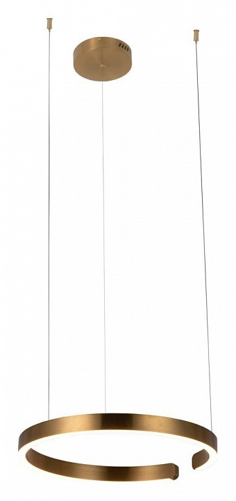 Подвесной светильник Loft it Ring 10013M