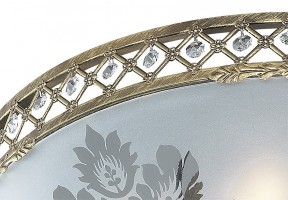 Накладной светильник Odeon Light Aspena 2776/6C
