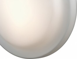 Накладной светильник Odeon Light Tavoy 2760/3C