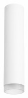 Накладной светильник Lightstar Rullo R49630