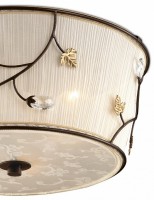 Накладной светильник Odeon Light Lota 2665/3C