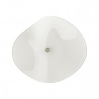 Накладной светильник Odeon Light Fluent 4856/5WL