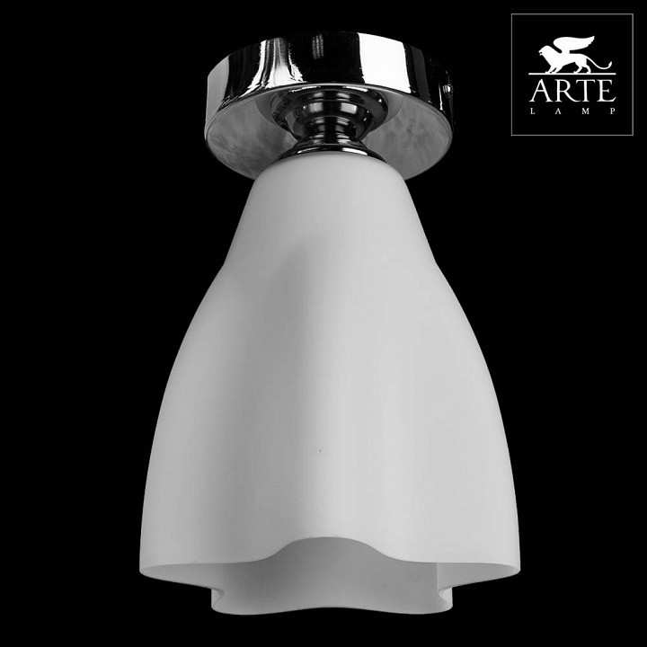 Накладной светильник Arte Lamp Canzone A3469PL-1CC