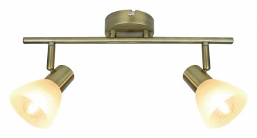 Спот Arte Lamp Parry A5062AP-2AB