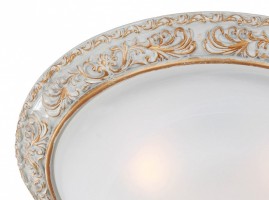 Накладной светильник Favourite Plafond 1446-3C