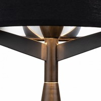 Настольная лампа декоративная Indigo Maestria 11041/1T Black