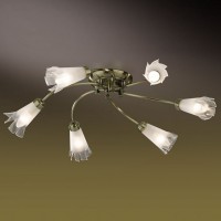 Потолочная люстра Odeon Light Nella 2129/6C