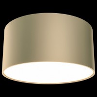 Накладной светильник Maytoni Zon C032CL-L12MG3K