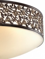 Накладной светильник Odeon Light Sagitta 2669/4C