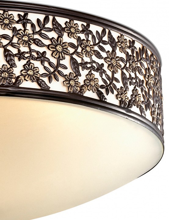 Накладной светильник Odeon Light Sagitta 2669/4C