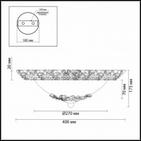 Накладной светильник Odeon Light Balasa 2726/3C