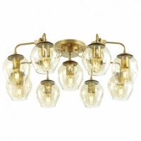 Потолочная люстра Odeon Light Kuva 4660/9
